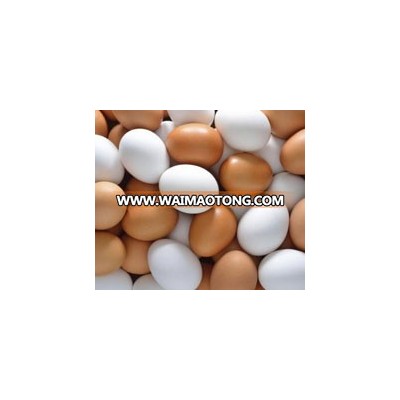 FRESH WHITE AND BROWN CHICKEN EGGS FOR SUPPLY