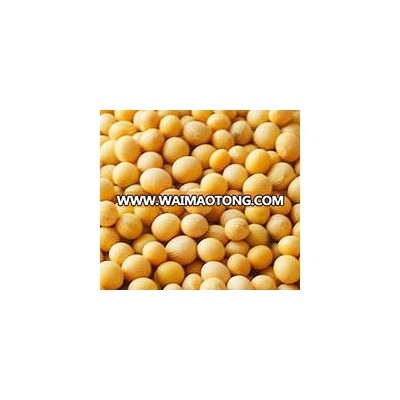 NON GMO dried cheap soybeans for sale