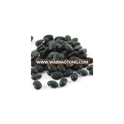 Quality Black Kidney Beans/Black Bean Price