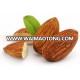 Best Quality Almond Nuts / Raw Natural Almond Nuts / Organic Bitter Almonds