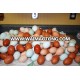 High Quality White / Brown Chicken Table Eggs In Trays and Cartons For Sale