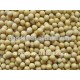 NEW crop organic soybean